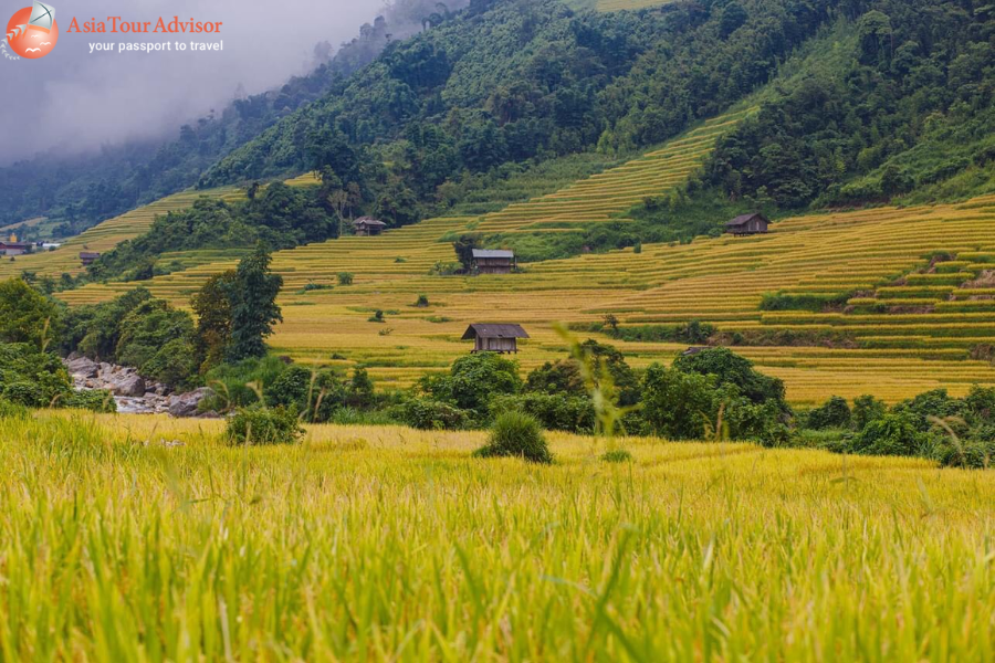 Sapa